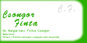 csongor finta business card